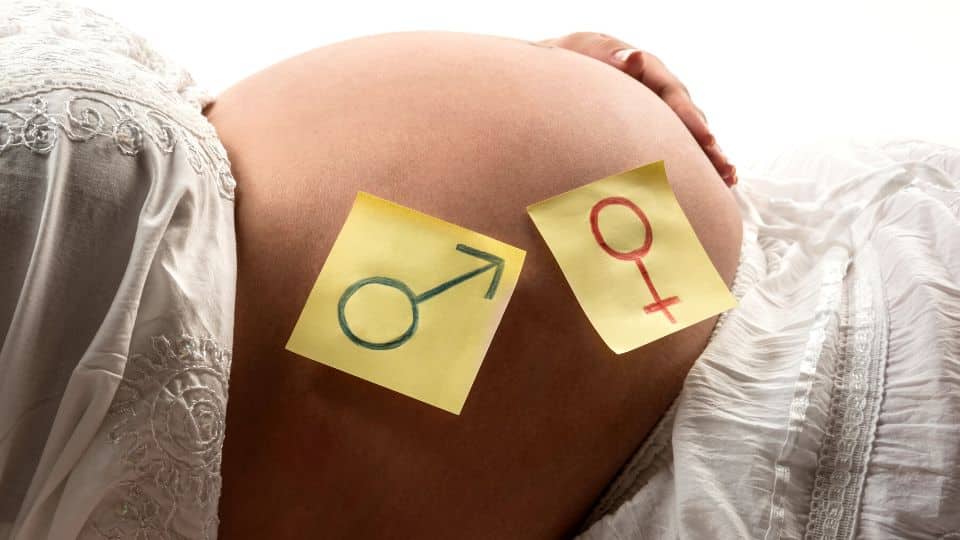 בן או בת? כך תדעי את מין הילוד לפי הטבלה הסינית